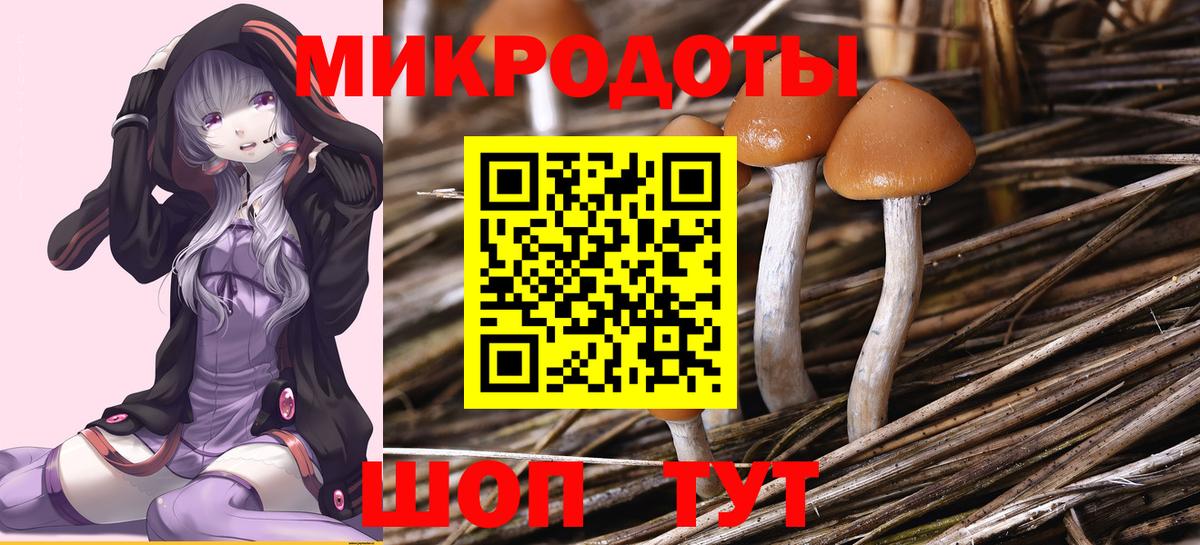 Галлюциногенные грибы мухоморы  Вход с VPN  Дзержинск 